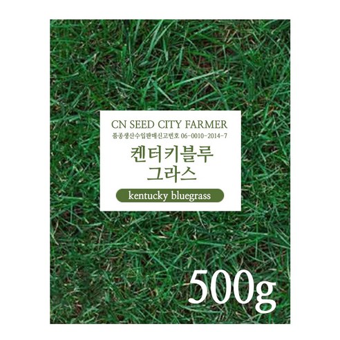 정원과 공원을 위한 필수품, 톨페스큐 잔디씨앗