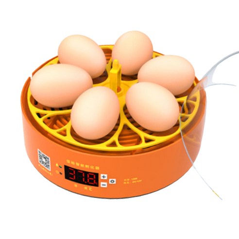 달걀 부화기 재료 미니 6구 자동 회전 달걀 계란 닭 병아리 부화기 KC