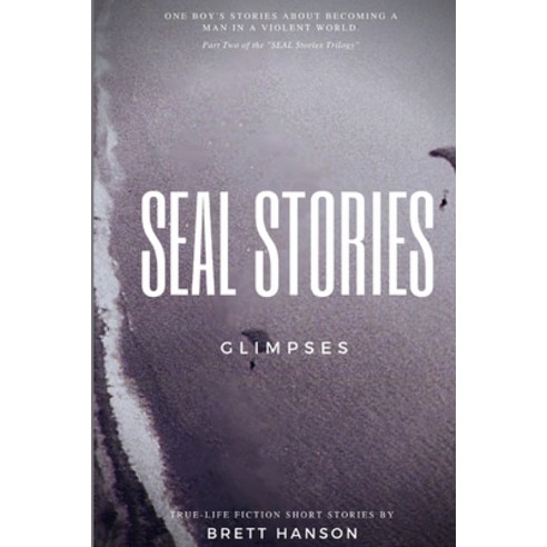 SEAL Stories: Glimpses: Stories of a Boy Becoming a Man in a Violent World Paperback, Independently Published