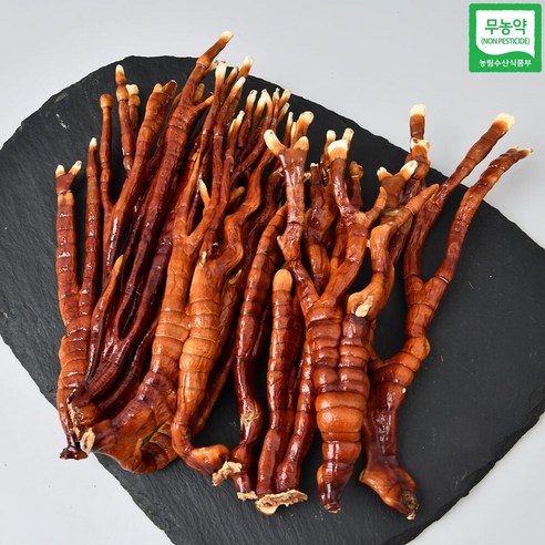 문상영버섯농장 녹각영지버섯 소포장 100g, 1개