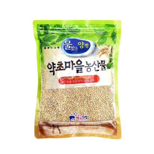 증안리약초마을 무공해 청정지역 찰보리 2023년산, 1개, 400g