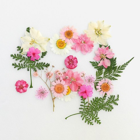 압화로 일상에 감성을 더하다