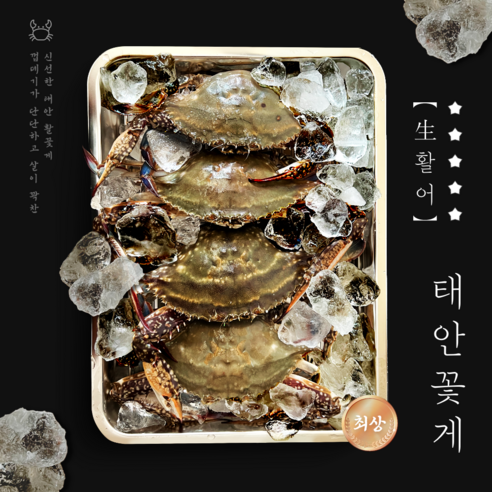 꽃게 살이꽉찬 활꽃게 새벽조업 암꽃게 숫꽃게, 1박스, 꽃게 2kg