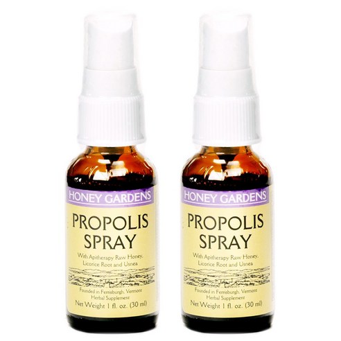 허니가든 프로폴리스 스프레이, 30ml, 2개