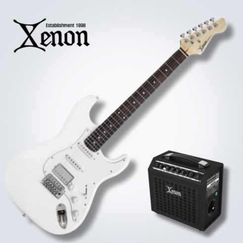 입문용 일렉기타 여정에 완벽한 조합