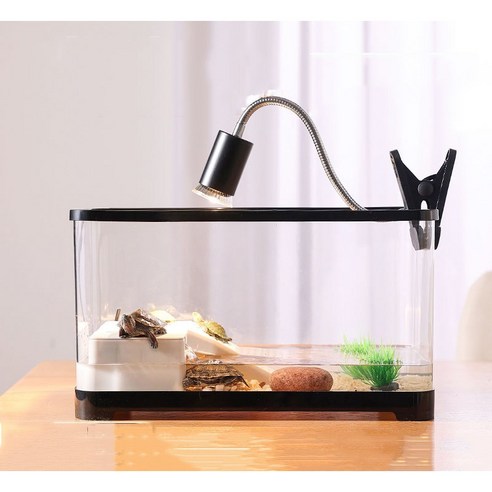 코코실리 거북이 어항: 작은 생명을 위한 드넓은 낙원