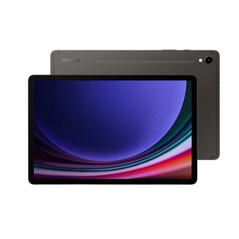 [삼성] 갤럭시탭 S9(5G) 256GB 그라파이트 SM-X716NZAEKOO