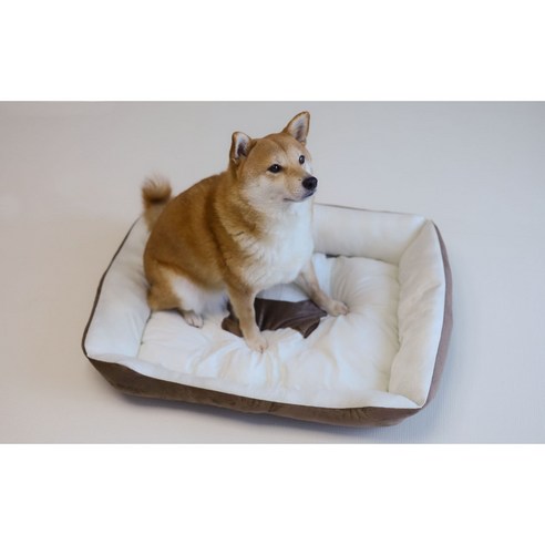 반려동물 공간을 깨끗하고 위생적으로 유지하는 필수품