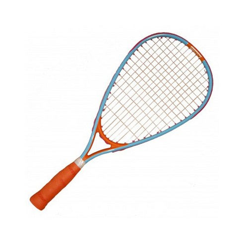 스피드민턴 공식총판: 역동적인 스포츠 경험을 위한 완벽한 장비