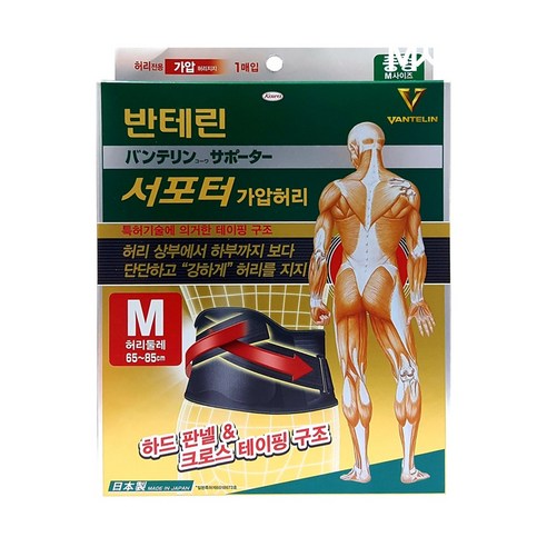 반테린코와 서포터 종아리 검정 L, 1개