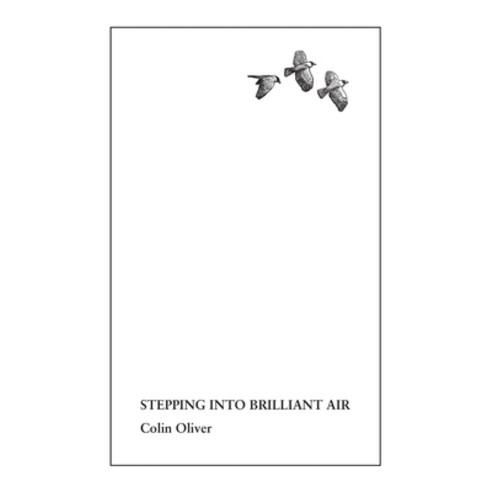 (영문도서) Stepping Into Brilliant Air Hardcover, Shollond Trust, English, 9781914316319