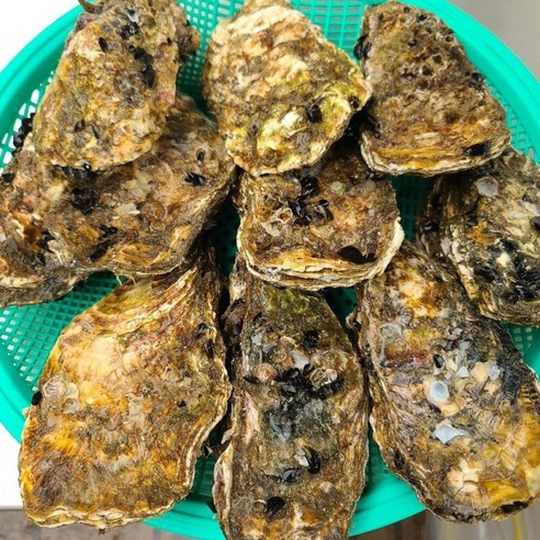 통영석화의 럭셔리와 신선함을 식탁에서 경험하세요