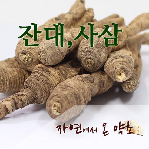 잔대 제니 사삼 중국산 300g, 1개