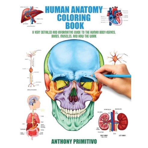 Human Anatomy Coloring Book: A Very Detailed and Informative Guide to the Human Body: Nerves Bones ... Paperback, Independently Published, English, 9798578761348