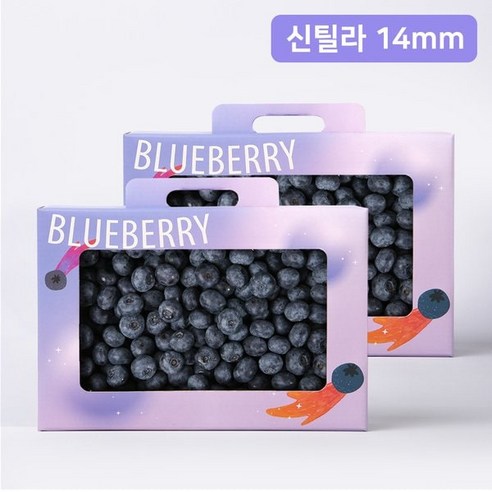 백화점 블루베리 800g 선물패키지 124586, 1개