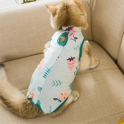 부투펫 고양이 중성화복 수술복 강아지 환견복 삼색이 환묘복, 그린, 1개