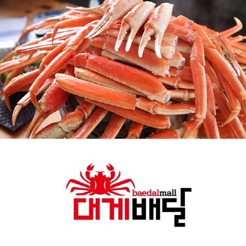 고품질의 러시아산 마가단 스노우크랩으로 특별한 해산물 향연을 만드세요.