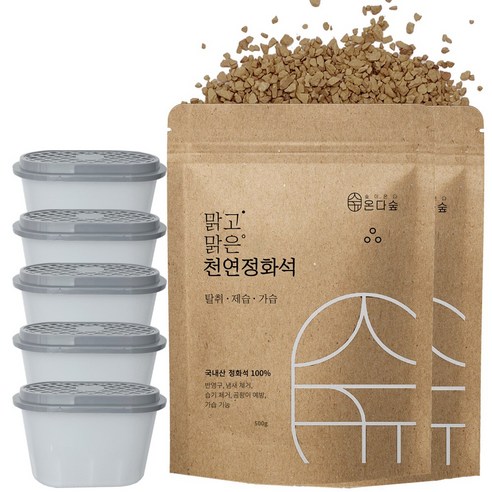 온다숲 반영구 천연 제습제 정화석 500g2개+용기5개, 500g