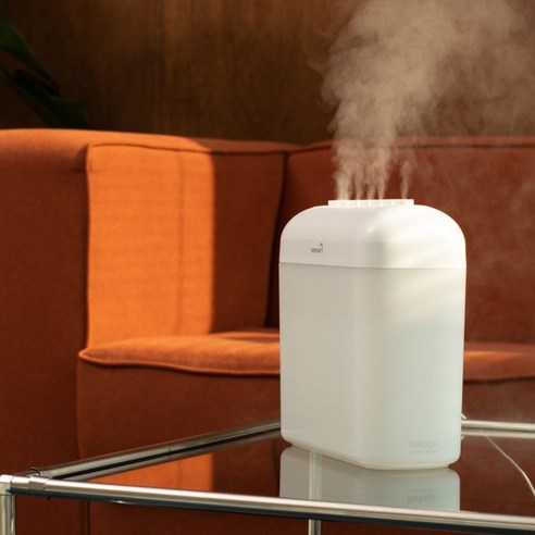 촉촉함과 아름다움을 선사하는 3L 대용량 벨라지오 분수 가습기