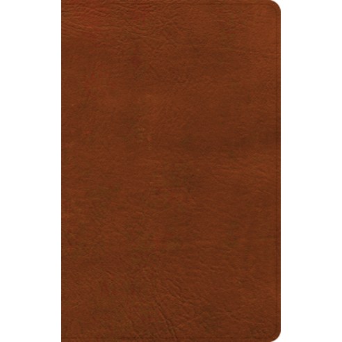 (영문도서) NASB Large Print Personal Size Reference Bible Burnt Sienna Leathertouch Imitation Leather, Holman Bibles, English, 9781087756271