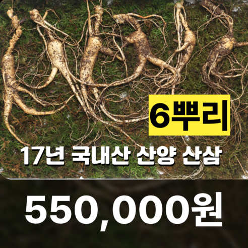 씨에이치쓰리 17년 국내산 산양 산삼 6뿌리, 1개, 50g