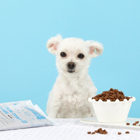 강아지의 관절 건강과 전반적인 안녕을 위한 최고의 선택