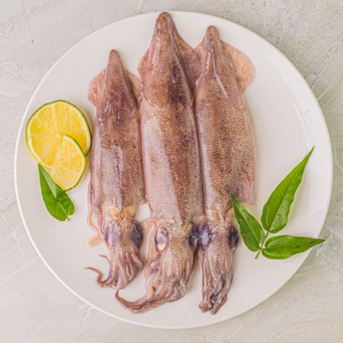 총알 한치 통찜용 급냉 뚱띠푸드, 총알한치, 2개, 500g