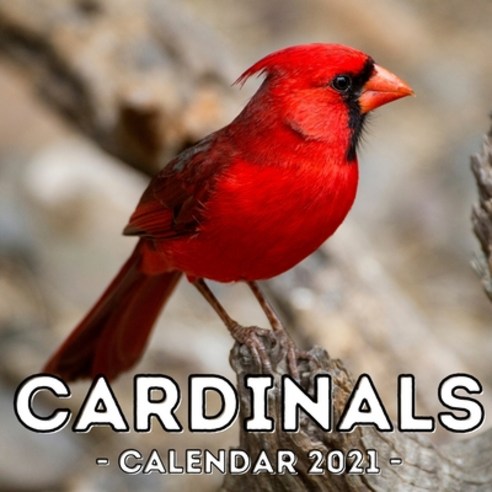 (영문도서) Cardinals Calendar 2021: 16-Month Calendar Cute Gift Idea For Birds Lovers Women & Men Paperback, Independently Published, English, 9798504330174