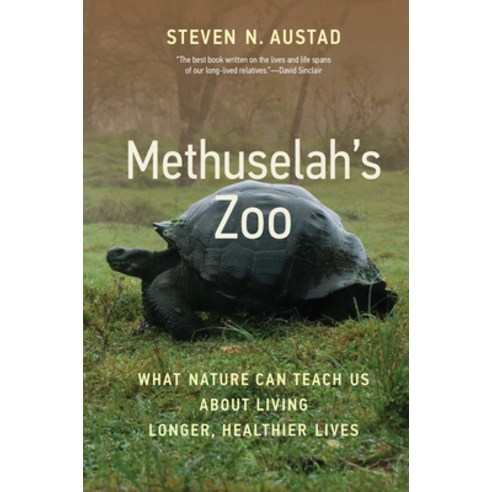 (영문도서) Methuselah''s Zoo: What Nature Can Teach Us about Living Longer Healthier Lives Paperback, MIT Press, English, 9780262547178