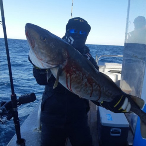 바다를 향한 열정, 리좀 지타누스 선상낚시대로 완성하다