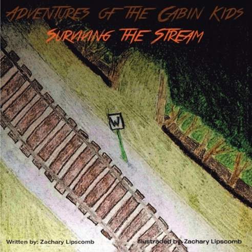 Adventures of the Cabin Kids: Surviving the Stream Paperback, Matchstick Literary