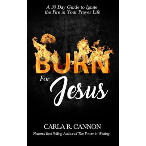 (영문도서) Burn for Jesus: A 30-Day Devotional to Ignite Fire in Your Prayer Life Paperback, Createspace Independent Pub..., English, 9781720866459