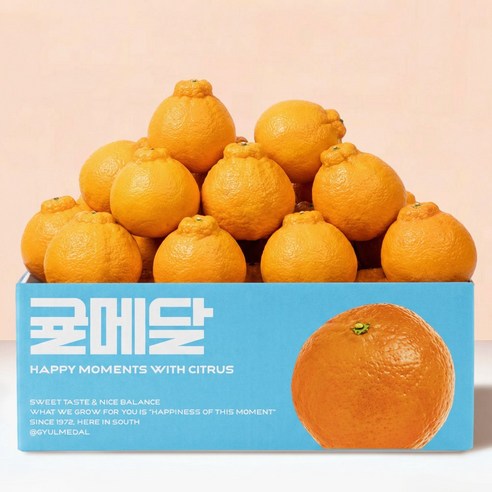 [산지직송] 당도절정 꿀라봉 제주 한라봉 특품 당도선별 할라봉 꿀라봉 14브릭스, 1박스, 소과 2KG