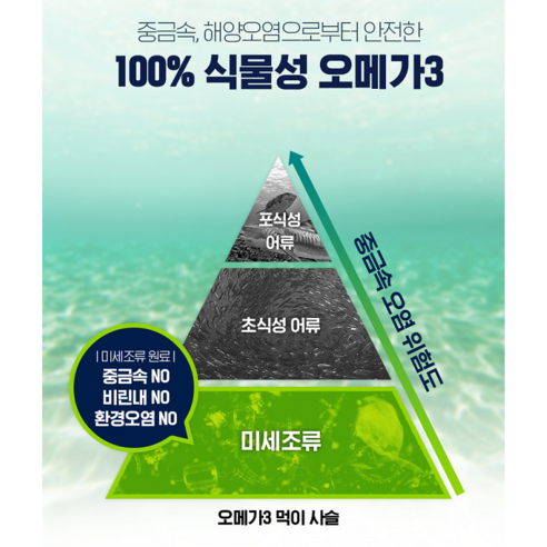 건강한 혈관과 몸을 위한 식물성 오메가3 솔루션