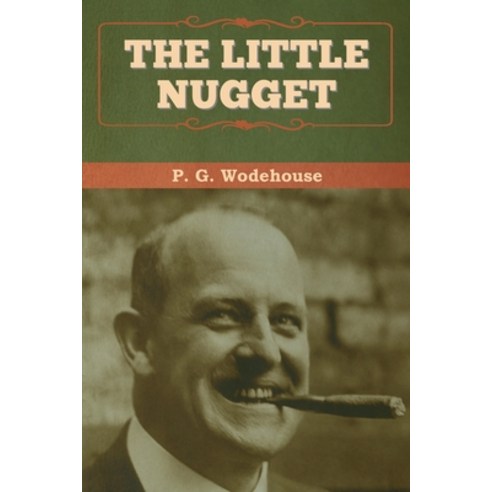(영문도서) The Little Nugget Paperback, Bibliotech Press, English, 9781647993146