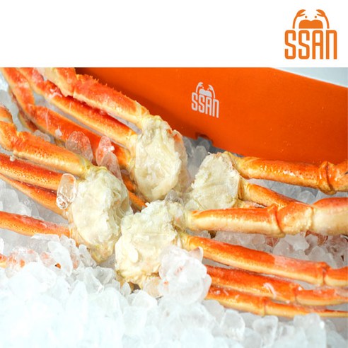 러시아 마가단 스노우크랩과 함께하는 잊지 못할 미식의 향연