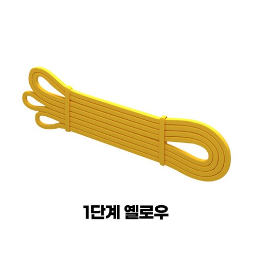 운동의 새로운 동반자