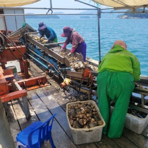 여수 새조개: 고소한 맛과 영양가를 즐기는 샤브샤브 원물