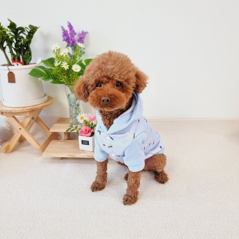 5color 귀여운 애견 강아지 봄 가을 기모 후드티셔츠, 민트