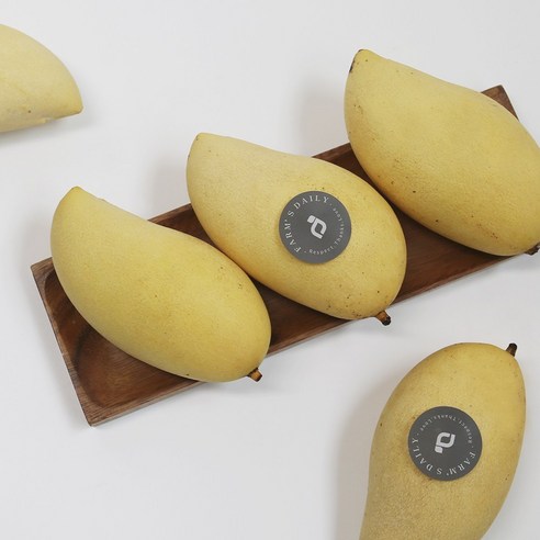 황금빛의 달콤함을 선사하는 특별한 과일선물