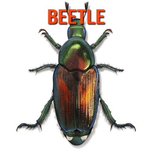 Beetle: Incredible Pictures and Fun Facts about Beetle Paperback, Independently Published, English, 9798693977921