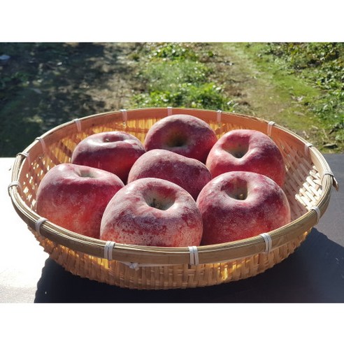 하얀사과농원, 고집과 정성으로 키운 아리수 사과의 풍미를 경험하세요.