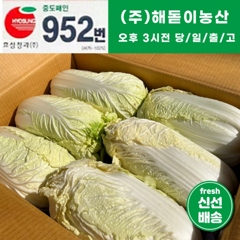 절임배추  해돋이농산 알배기배추 알배추 쌈배추 6통 12통, 6개