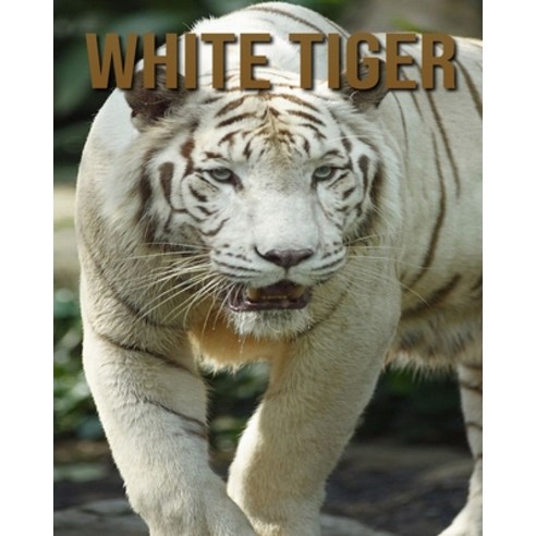 White Tiger: Amazing Photos Book About White Tiger For Kids Paperback, Independently Published