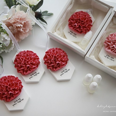 향기로 전하는 감사의 마음, 카네이션 석고방향제