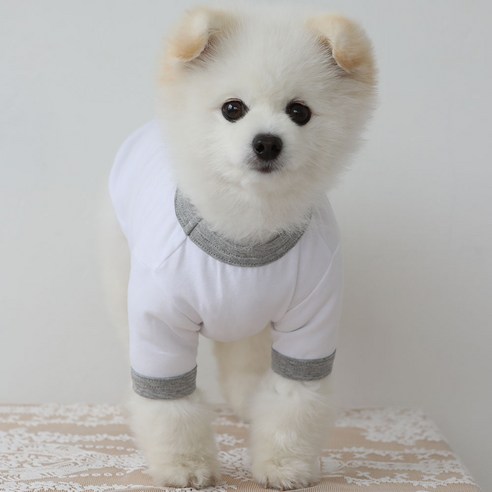 럭키페터 링거 강아지 옷 소형견 대형견 티셔츠 화이트 시리즈, 화이트/그레이, 2개