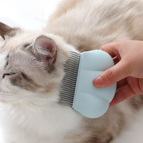 이지스홈 냥이 댕이 그루밍 브러쉬 반려동물 죽은털 제거 고양이 강아지 털빗 3 COLOR, 1개, 블루
