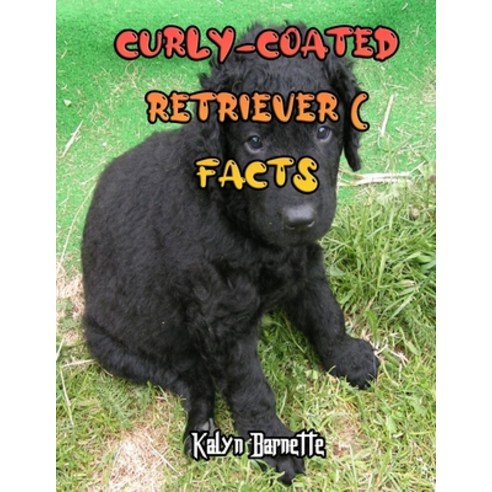 Curly-Coated Retriever Facts: CURLY-COATED RETRIEVER fact for girl age 1-10 CURLY-COATED RETRIEVER f... Paperback, Independently Published, English, 9798712607303