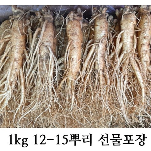 실속형 실속형인삼 국내산 인삼 250g 750g 1kg 옵션선택 (믹서용 홍삼용 실속인삼), 실속인삼 1kg (35-40뿌리), 1개