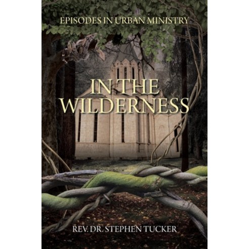 In The Wilderness: Episodes in Urban Ministry Paperback, Christian Faith Publishing,..., English, 9781098050337